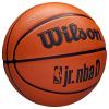 Kosárlabda Wilson NBA Jr DRV FAM 4-es méret