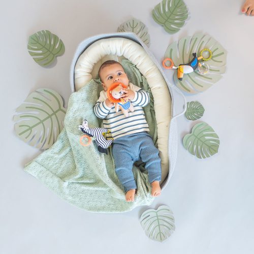 Taf Toys csörgõ Harry, az oroszlán rágókával 12675