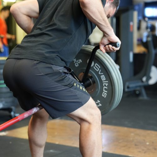 T-bar Sveltus Landmine