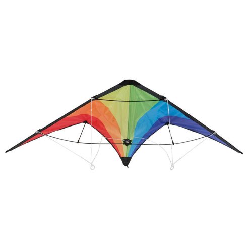 Sárkányrepülő 120x60 cm