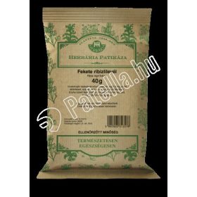 Fekete Ribizlilevel 40G