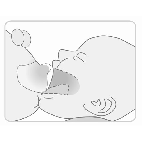 Lansinoh bimbóvédõ standard 2 db